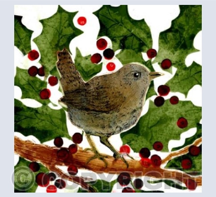 Wren in a holly bush