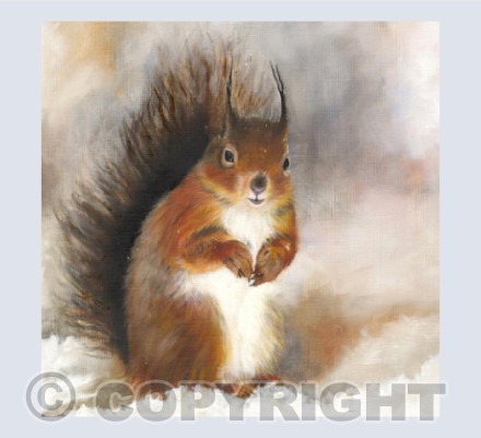 Red Squirrel