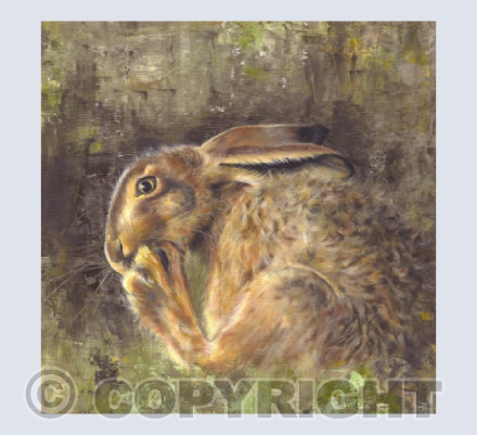 Grooming Hare