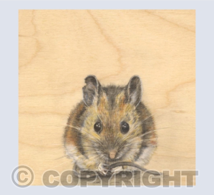 Woodmouse