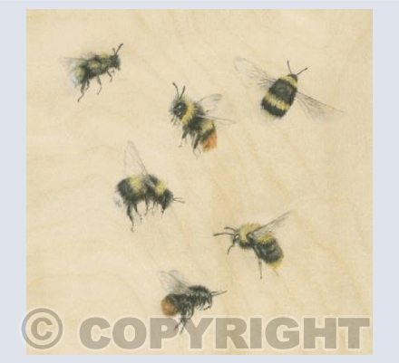 Six Bumble Bees