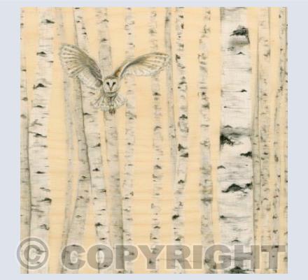 Owl In Birch