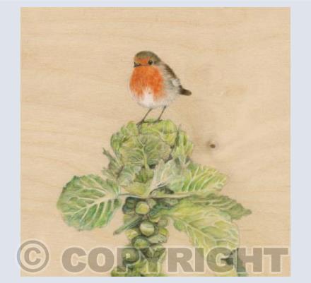 Mr. Robin on Sprout Tree