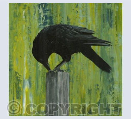 Crow 