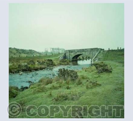 The Bridge