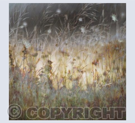 Dorset Downs IV