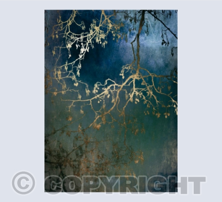 Alder Card