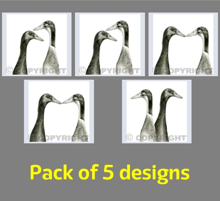 Indian Runner Ducks Set