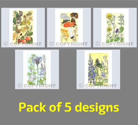 An Artists Walk Beside the Scottish Rivers Nethy and Spey