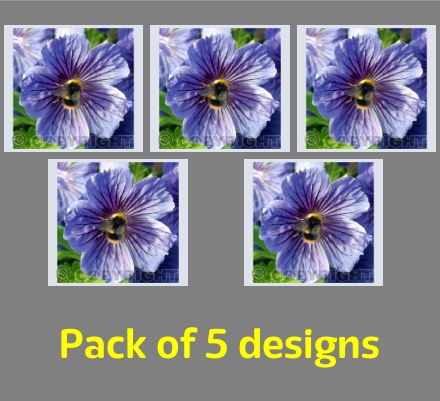 Bee Flower Pack