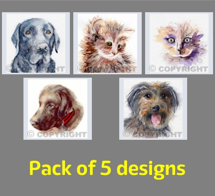 Raining Cats and Dogs