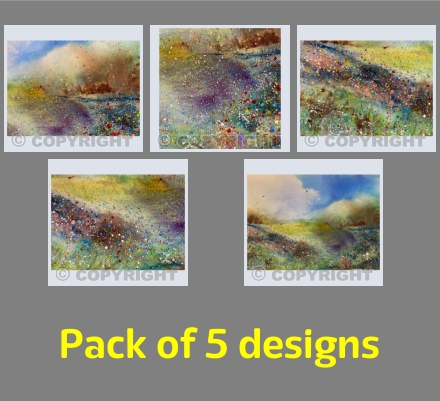 Abstract Summer Wildflower Meadow Pack 