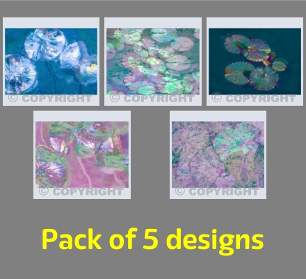 Water Lily Abstracts