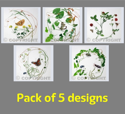 Butterflies and Bugs