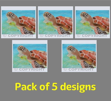 The Green Sea Turtle