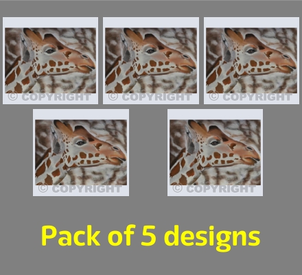 An Eye To The Future