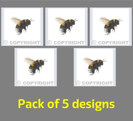 Buff tailed Bumblebee