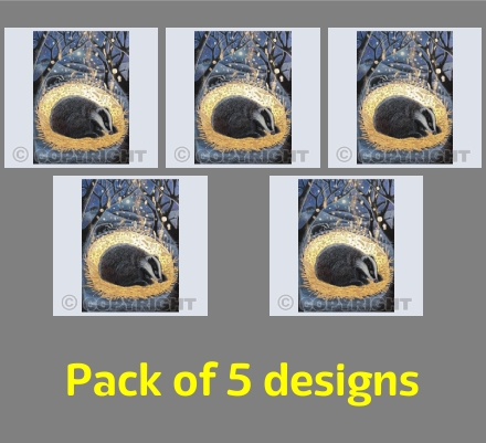 Solstice Dreamer Pack