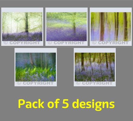 Bluebell Impressions Pack