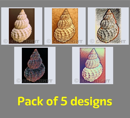 Seashell Variations