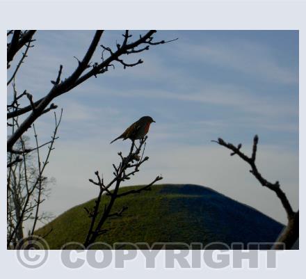 Silbury Hill
