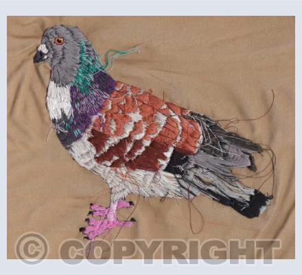 Birds