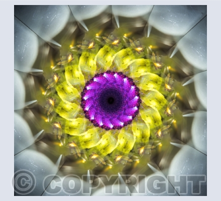 Light Art / multi exposure / abstract