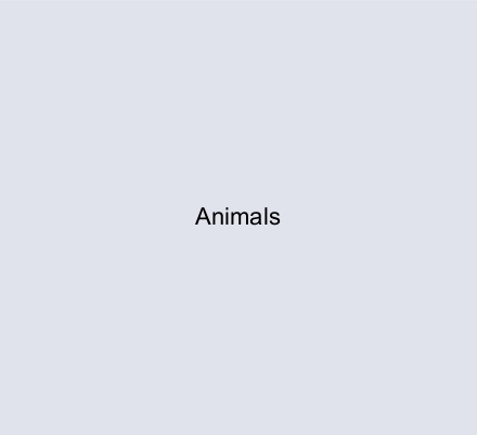 Animals