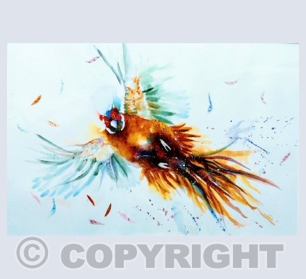 birds
