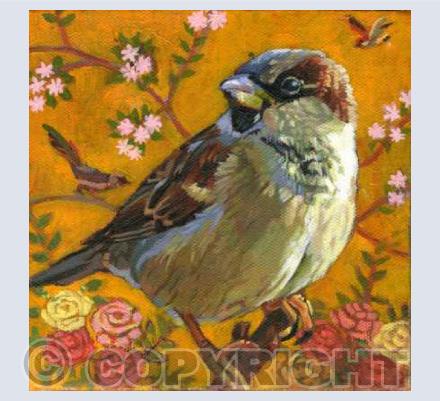 Birds