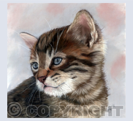 Fancy Felines Collection