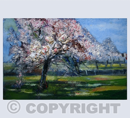 Spring Blossom