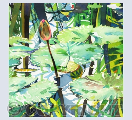 Botanical Gardens