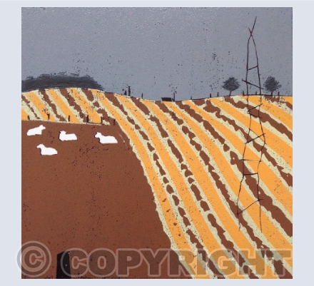  Landscapes