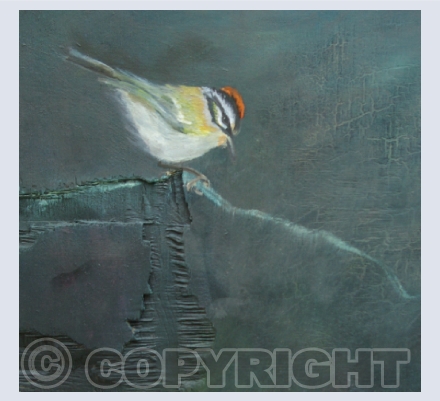 Bird