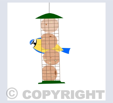 Small Birds