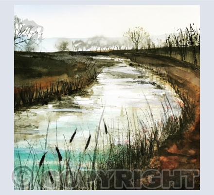 Landscapes and Seascapes
