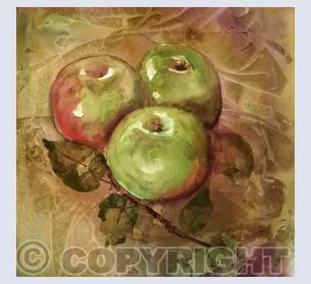 Flowers and Still Life