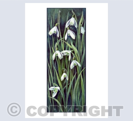Upright Cards