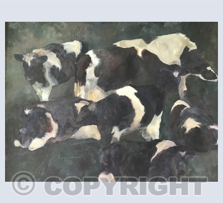 Animals
