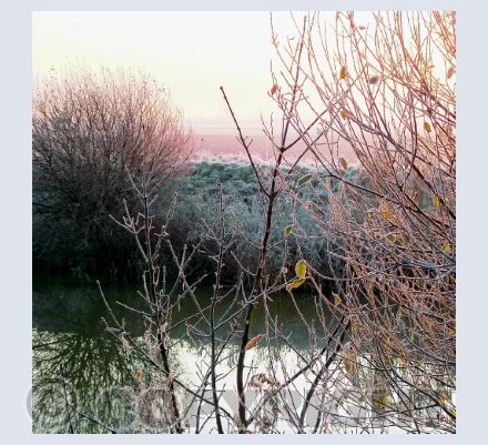 Landscape Photographs