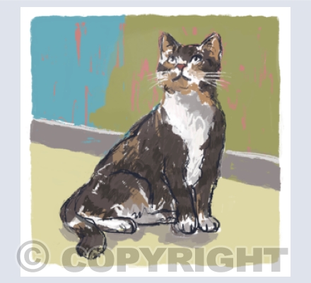 Cats