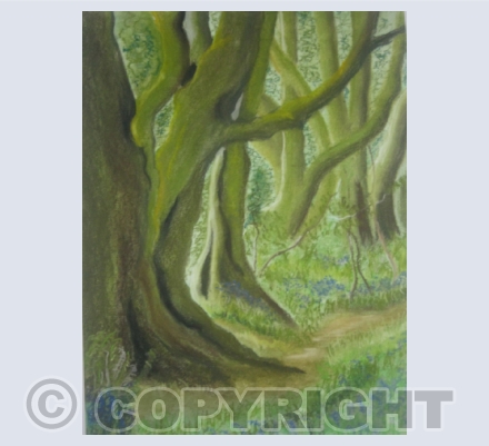 Flora/ Trees