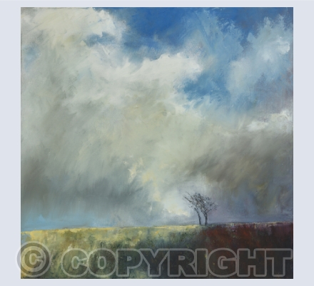 Exmoor