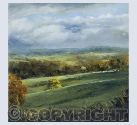 Blackdown Hills Somerset