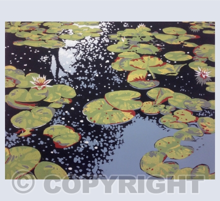 Ripples and Reflections