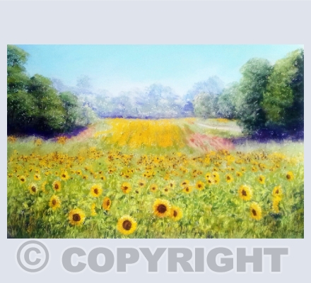 Landscapes