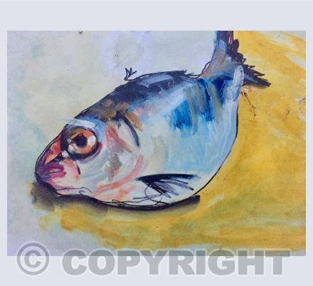 Fish