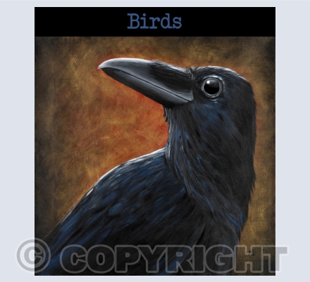 Birds