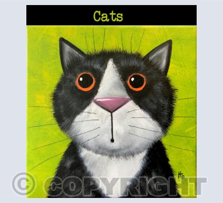 Cats